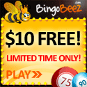 Bingo Beez Bingo Beez