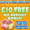 Bingo Blowout launches to critical acclaim